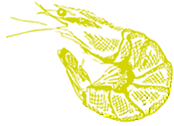 labalaya_shrimp_icon